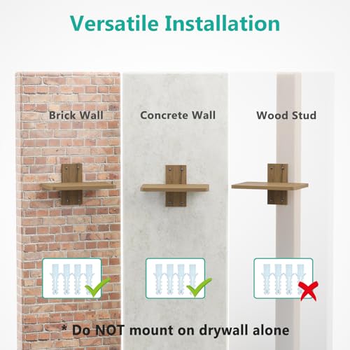 WALI Floating Projector Shelf for Wall, Wooden TV Shelf for DVD Players, Under TV, Cable Boxes and Game Consoles, Living Room TV Accessories Stand WALI