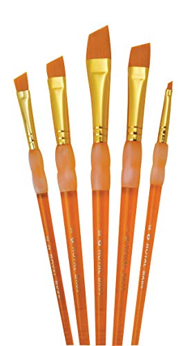 Royal and Langnickel BK605 Big Kid's Choice Brushes, 5-Piece, Short Handle Royal & Langnickel