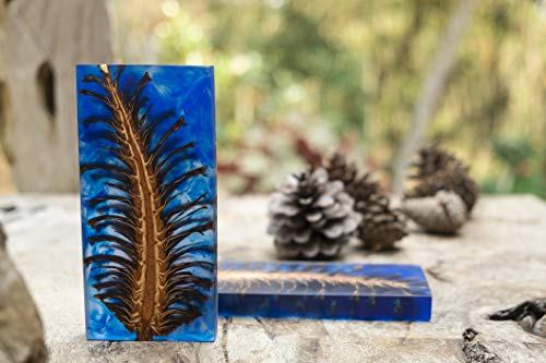 Superclear Table Top Epoxy Resin, 2 Quart Epoxy Kit - Certified Food Grade 1:1 Protective Epoxy Resin for River Tables, Live Edge Tables, Bar Tops, FGCI