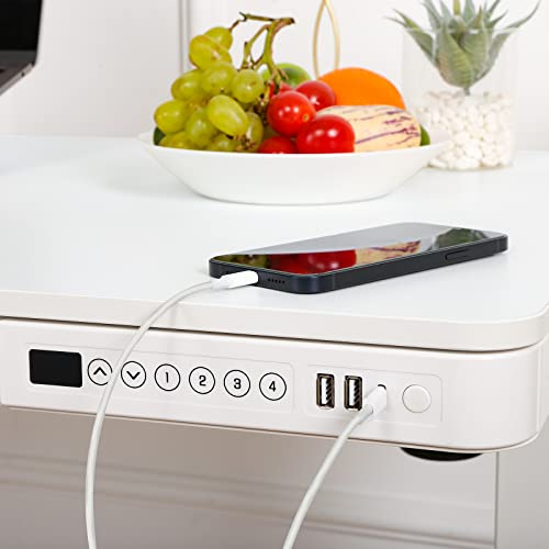 FLEXISPOT Comhar Electric Standing Desk with Drawers Charging USB A to C Port, Height Adjustable 48" Whole-Piece Quick Install Home Office Computer FLEXISPOT