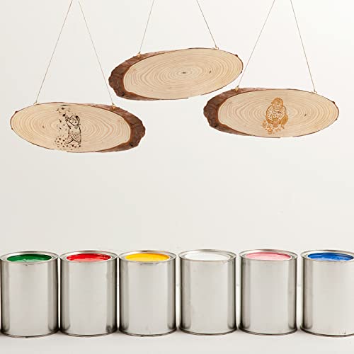 DEAYOU 8 Pack Natural Wood Slices, Unfinished Wood Crafts with Bark, Tree Slice Wooden Sign with Small Eye Ring, Wood Slab Plaque Plank for DEAYOU