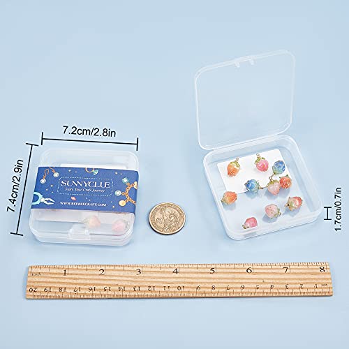 SUNNYCLUE 1 Box 10Pcs 5 Styles Dried Flower Charms Transparent Clear Epoxy Resin Pendants with Brass Hole 1.2mm Glass Micro Beads for DIY Earrings SUNNYCLUE