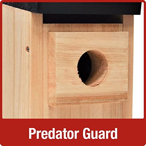 Nature's Way Bird Products CWH3 Cedar Bluebird Box House Nature's Way