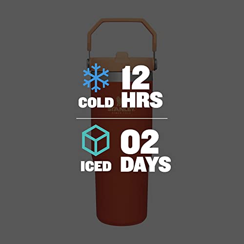 Stanley IceFlow Stainless Steel Tumbler with Straw - Vacuum Insulated Water Bottle for Home, Office or Car Reusable Cup with Straw Leak Resistant STANLEY