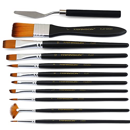 Transon Paint Brush Kit 10pcs Art Brushes and 1 Paint Spatula with Brush Case TRANSON