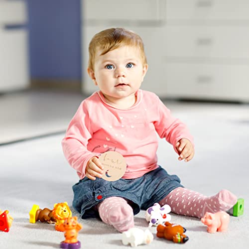 Kisangel 14pcs Milestone Card Unfinished Wood Cards One Month Baby Wood Slices for Baby Shower Monthly Baby Milestone Printable Milestone Baby Months Kisangel