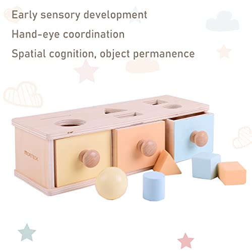 MORITECK Montessori 3 in 1 Object Permanence Box Coin Box Shape Sorter for 8 Months up Baby Wooden Toy for Boy Girls Christmas Birthday Gift MORITECK