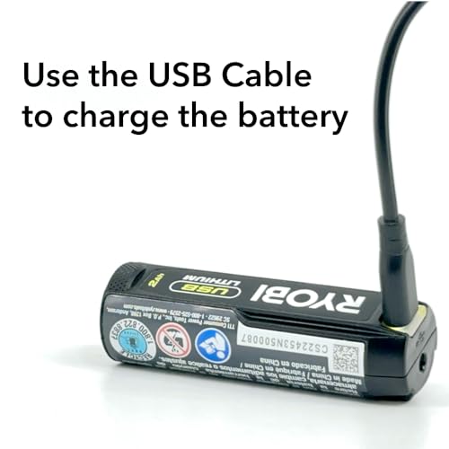 Power Carver Bundle with Ryobi Carver and Buho Tool Pouch, USB Lithium 2.0 Ah Battery and Charging Cable - Wood Carving Tool - Includes Straight Buho