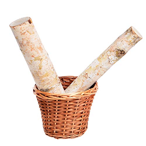 6 Pack Large Birch Logs for Fireplace Unfinished Wood Crafts DIY Home Decorative Burning(Logs:2.4"-3.1" Dia. x 16" Long) Kingcraft