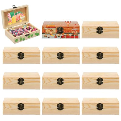 Hoemwarm 12 Pack Unfinished Wood Box with Hinged Lid, Storage Wood Box for Diy Flower Small Craft Unpainted Jewellery Organizing Plain Pine Box Art,