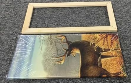 Tucocoo (16x20inch) Natural Wood Picture Frame Poster Frame Wall Photo Frame,Paint by Numbers DIY Framed,Suitable for 16x20 size photos,Large Size Tucocoo