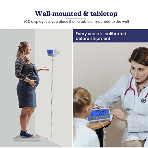 ScaleBelly Professional Physician Scale, 440 lb Home Gym Office Medical Floor Scale, High Capacity Scale for Wrestler Powerlifters ScaleBelly