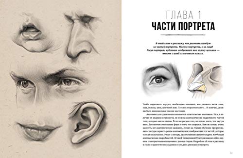 Pencil Portrait - Drawing Techniques - Anatomy, Proportions, Shading, Sketching, Composition and Draping: Анатомия Штрих Основы Светотени Драпировка ZenART Publishing