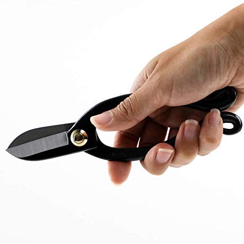 Wazakura Made in Japan Ikebana for Beginners Tool Kit, Ikenobo Scissors, Sun and Moon Kenzan Holder, Cleaner, Flower Arrangement Set, Florist Shears Wazakura