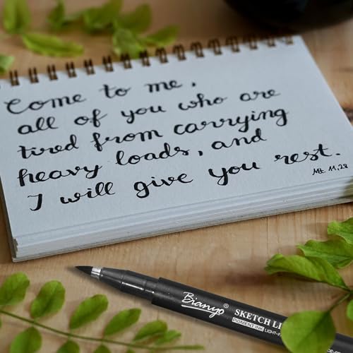 Bianyo Black Micro Pen Set - 12 Assorted Sizes Fine Line Drawing, Upgraded Pigment Ink, Bonus Pouch Bag, Water-Resistant Archival Pens for Artists, Bianyo