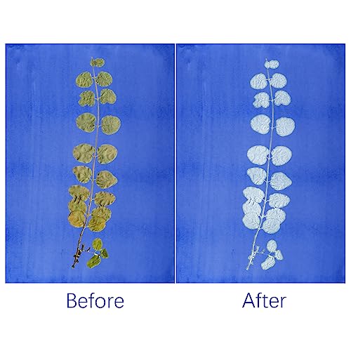 Fumwase 30 Sheets Sun Print Paper Kits Cyanotype Papers Kit A4 Nature Printing Solar Activated Light Sensitive Drawing Photosensitive Printmaking for Fumwase