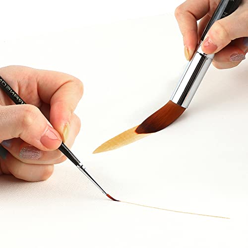 Transon 13pcs Round Paint Brush Set Synthetic Bristle Complete Round Brush Set for Watercolor Acrylic Gouache Ink Tempera TRANSON