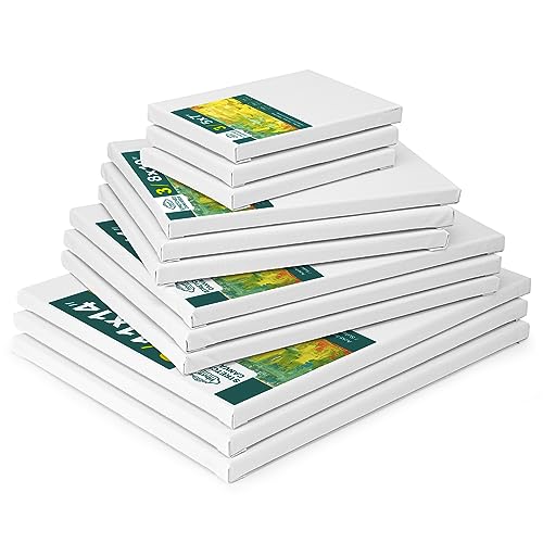 12 Pack Stretched Canvases for Painting with 11x14, 9 x12, 8x10, 5x7(3 of Each), Blank Primed Canvas for Oil, Acrylic & Others, Multi Size Set for Inburit
