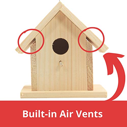 Unfinished Birdhouse to Paint for Birdwatching with Perch, Natural Wood Pine Frame for Finches and Songbirds, Heavy Duty Outdoor Hanging Use (6.5") ALPINE WOODS