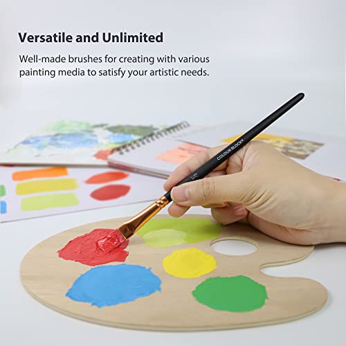 COLOUR BLOCK 12PC Acrylic Paint Brushes Set with Leather Case, Mixed Media Brush Set, Watercolor, Fabric Paint, Rock Painting Art Supplies in Easy COLOUR BLOCK