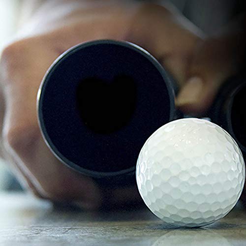 WORKSHOP Wet/Dry Vacs Vacuum Accessories 2-1/2-Inch WS25052A Shop Vacuum Car Detailing Kit for Wet/Dry Shop Vacuum, Black WORKSHOP Wet/Dry Vacs