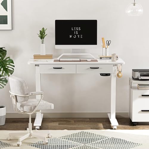 BANTI 48'' Adjustable Height Electric Standing Desk with Double Drawer, Stand Up Home Office Desk with Splice Tabletop, White BANTI