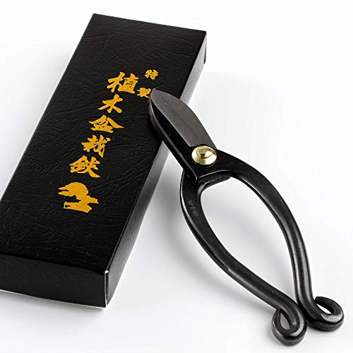 Wazakura Made in Japan Ikebana Tool Kit - Ikenobo Scissors + Brass Kenzan Flower Holder, Japanese Floral Arrangement Set, Florist Shears and Pin Frog Wazakura