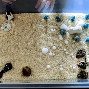 Puffin 'Clown of The Sea' Arctic Seabird Miniature Wood Art Mini Carved Ornament Figurine Small Animals Selsela