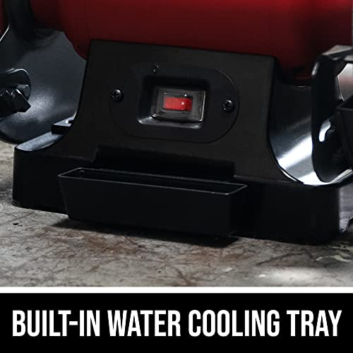 SKIL 3.0 Amp 8 In. Bench Grinder with Built-in Water Cooling Tray & LED Work Light - BI9502-00 Skil