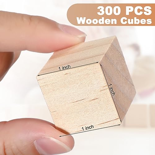 Barydat 300 Piece 1 Inch Wooden Cube Unfinished Wooden Craft Cube Natural Blank Wooden Block for Craft Wood Square Block Cube Craft Wood Craft Supply Barydat