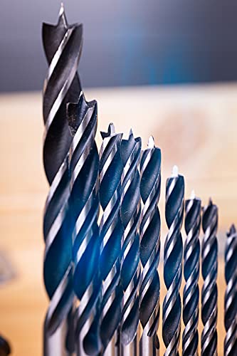 NordWolf 12-Piece Brad Point Wood Drill Bit Set for Carpenter Woodworking, Double Flutes Design with 1/4" Hex Shank, SAE Sizes 1/8" to 1/2" NordWolf