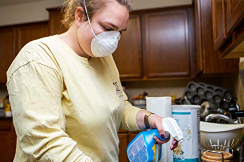 G & F 9118 Disposable Non-Toxic Dust and Filter Mask for cleaning, 50 Mask Value Pack G & F Products