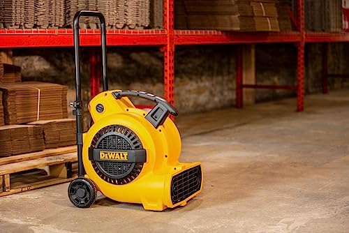 DEWALT 3/4 HP Air Mover, 3 Speed MAX 1800 CFM Floor Fan, Portable Utility Blower Fan, DXAM-2818 DEWALT