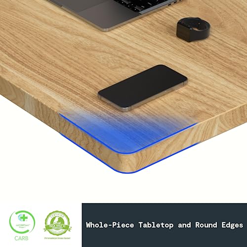 FLEXISPOT Whole Piece 48"x30" Desktop 1" Thickness Height Adjustable Desk Rectangular Tabletop Maple Board (48INCH Maple Top) FLEXISPOT