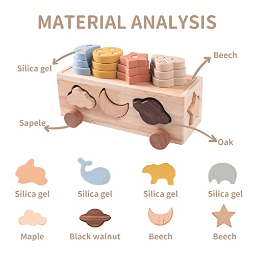 Samonyed Shape Sorter Toys for Toddlers 1-3 Montessori Stack Toy Car for 1 Year OldBaby Blocks Sorting Wooden&Silicone Educational Car Stacking Toys Samonyed