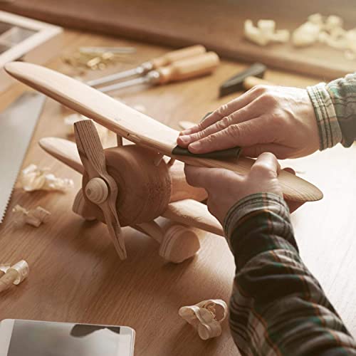 Annietfr 80 Grit 120 grit 220 Grit Assorted Grit Sandpapers for Wood Furniture Finishing, Metal Sanding and Automotive Polishing, 9 x 3.6 Inch Dry or Annietfr