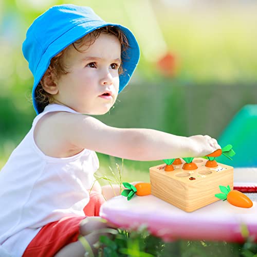 Montessori Toys for 1 Year Old, Wooden Toys Developmental Shape Sorting & Matching Puzzle Carrots Harvest Game, Birthday Gifts for Toddlers Babies Wdmiya