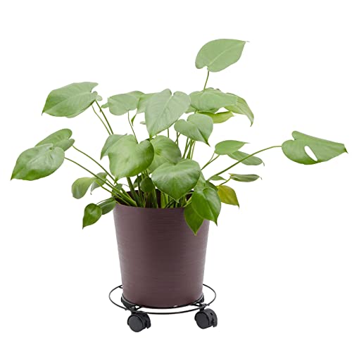 Bright Creations 4 Pack Metal Rolling Plant Stand Base, Planter Caddy with Wheels for Indoor and Outdoor Pots (10.6 Inches) Bright Creations