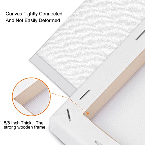 14 Packs Stretched Canvases for Painting,Multi Pack 11x14, 9.44x12, 8x10, 5x7, 4x4, Round Canvas with 8x8,10x10(2 of Each), Blank Primed Canvas for ESRICH