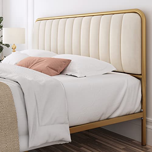 HITHOS Queen Size Upholstered Bed Frame with Button Tufted Headboard and Heavy Duty Metal Base HITHOS