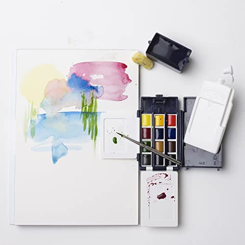 Winsor & Newton Professional Watercolor Paint Set, Compact Set, 12 Half Pans and Accessories Winsor & Newton