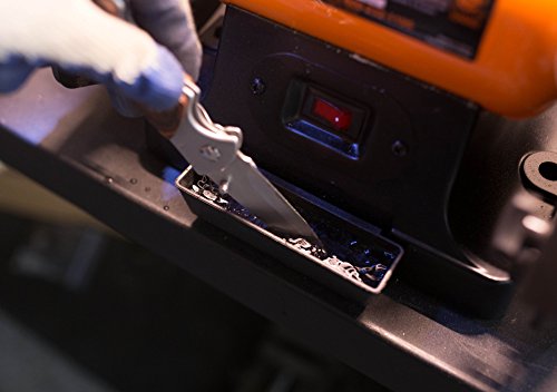 WEN BG4282 4.8-Amp 8-Inch Single Speed Bench Grinder with LED Work Lights, 14 x 10 x 11.75 inches, Black and Orange WEN