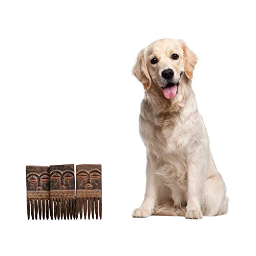 NOVICA Handcrafted Carved Brown Wood Comb Sculptures with Faces Wall Art, Ashanti Wisdom' (Set of 3) NOVICA