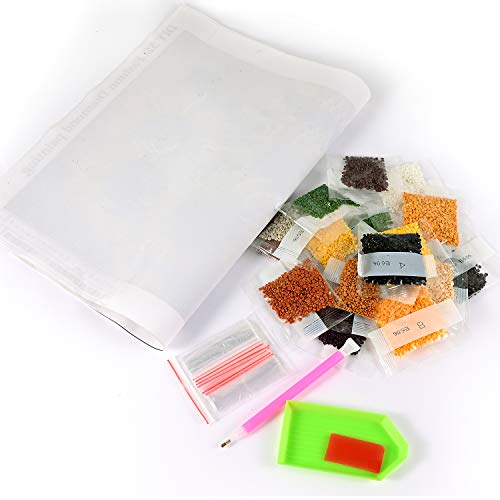 KTHOFCY 5D DIY Diamond Painting Kits for Adults Kids, Dragonfly Stained Glass Full Drill Embroidery Cross Stitch Crystal Rhinestone Paintings KTHOFCY