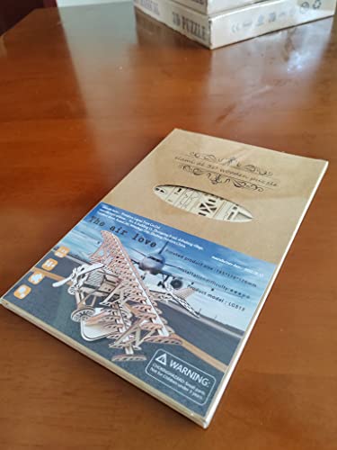 3D Wooden DIY Ferris Wheel Puzzle Kit - Perfect Educational Gift for All Ages ROEOLNIL