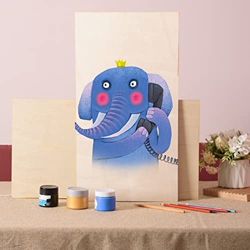 12 Pack 22 x 12 x 1/16 Inch-2 mm Thick Basswood Sheets for Crafts Unfinished Plywood Sheet Rectangular Craft Wood Sheet Boards for DIY Projects, AWIZOM