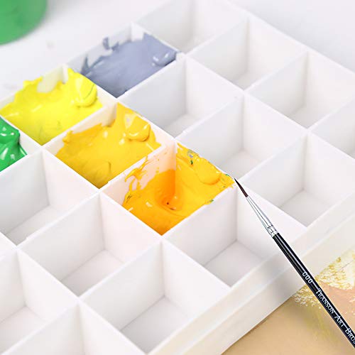 Transon Artist Paint Saver Palette 24 Wells with 1 Fine Paintbrush TRANSON