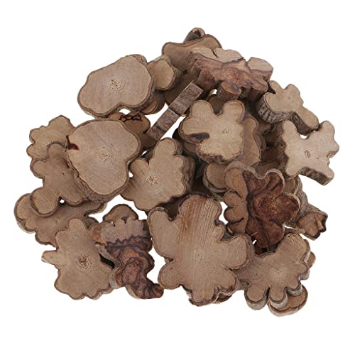30pcs Irregular Wood Log Slices Natural Tree Decorative Embellishments SYZ-inems