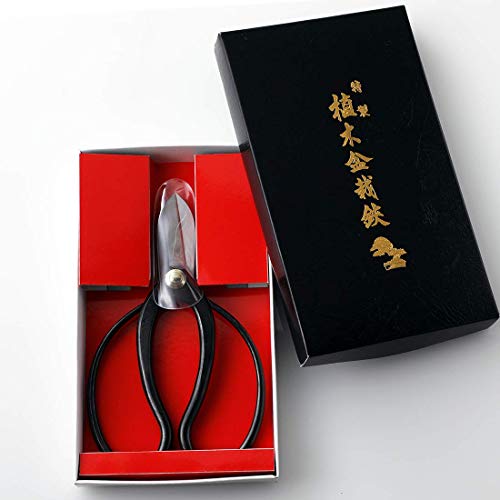 Wazakura Made in Japan Ikebana Tool Kit - Koryu Scissors + Black Kenzan Flower Holder, Japanese Floral Arrangement Set, Florist Shears and Pin Frog Wazakura