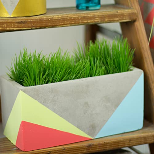 DecoArt ACRYLIC PATIO PAINT FAN FAVORITES SAMPLER SET, Assortment, 2 Fl Oz (Pack of 18) DecoArt